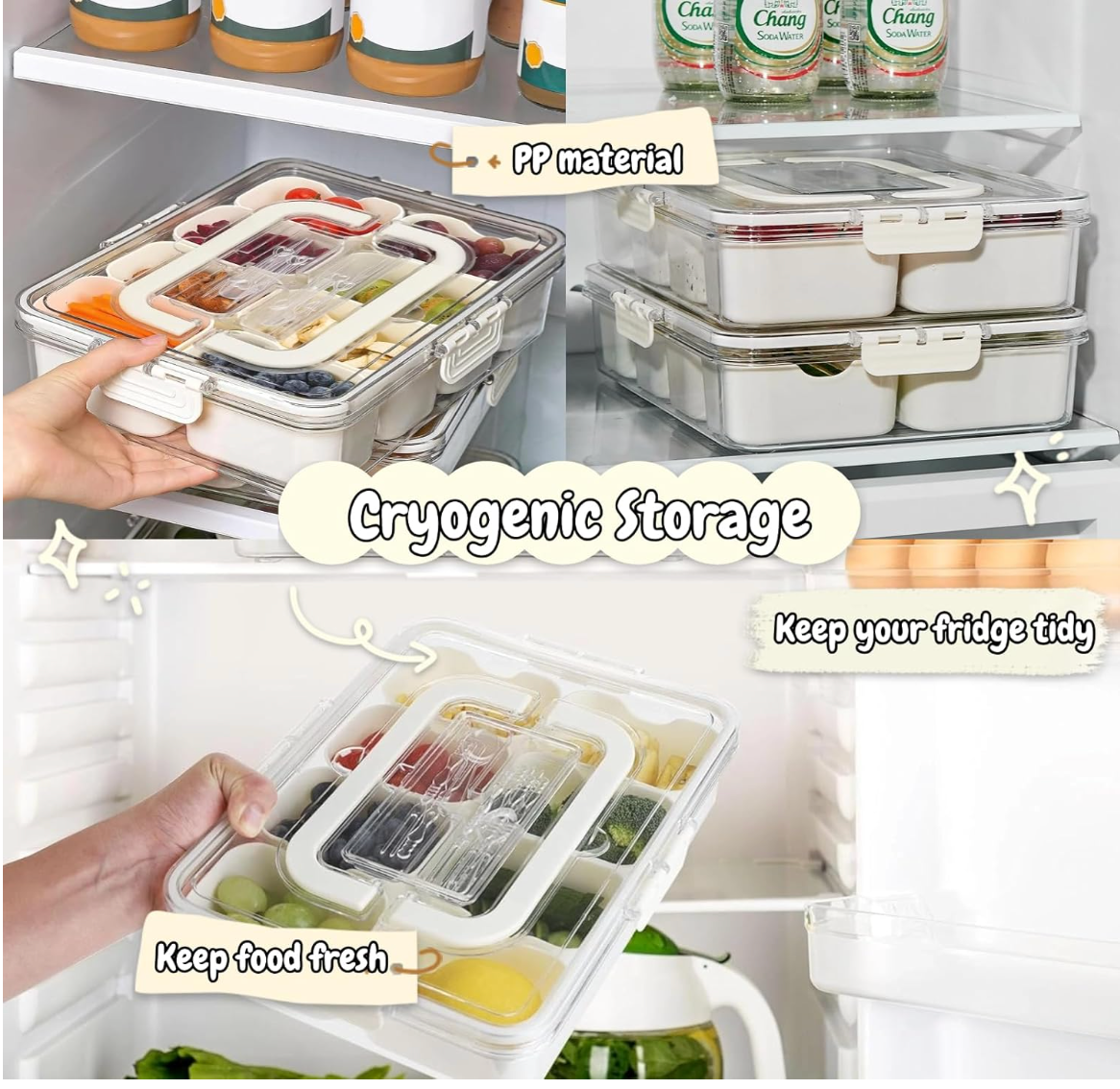 🍱 Boîte à Snacks Premium à 8 Compartiments